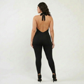 The Olympia - Black Back